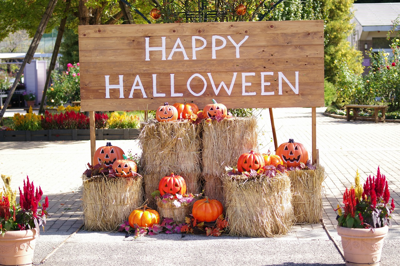 栃木県足利市のあしかがフラワーパークの花々