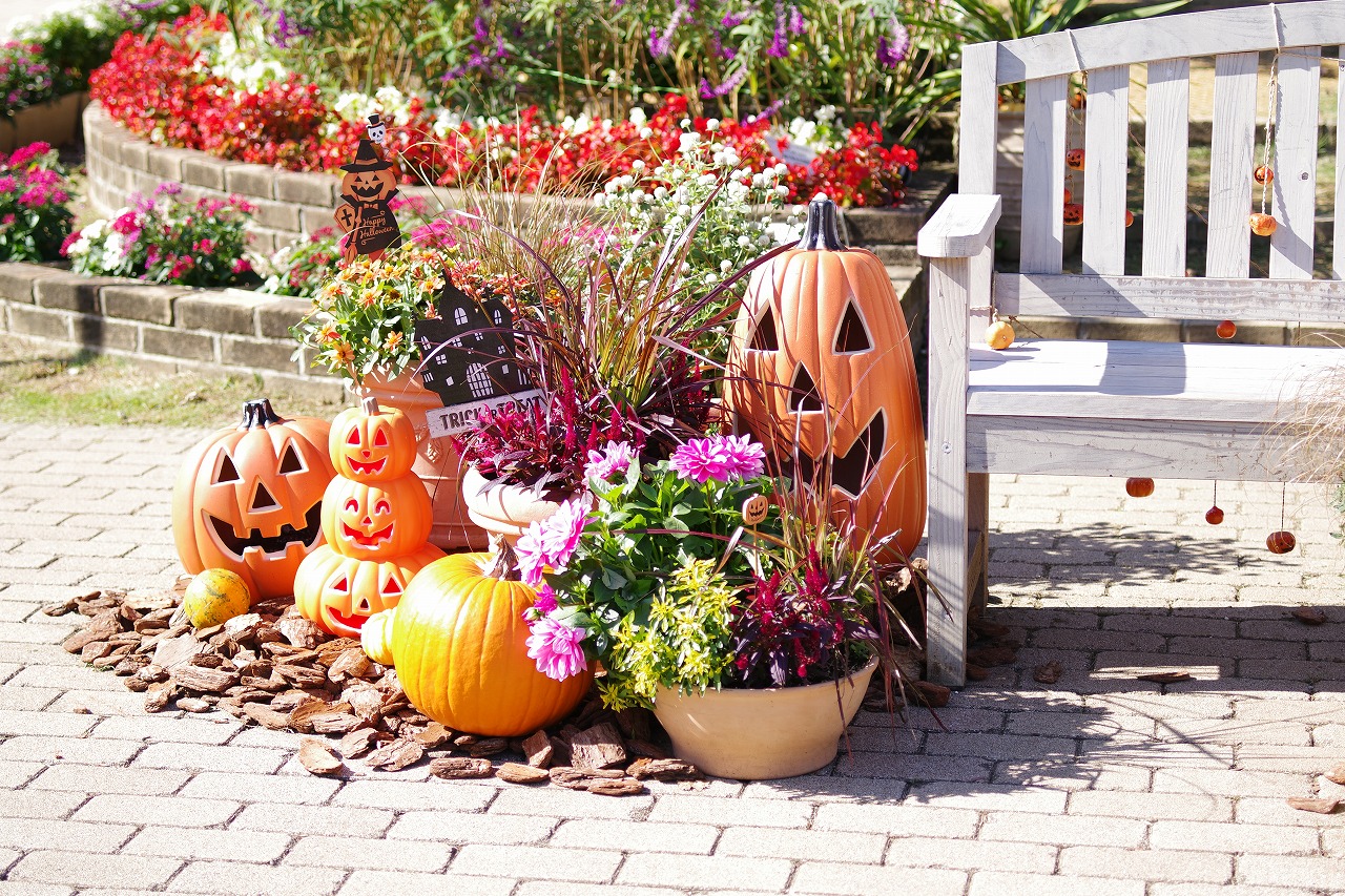 栃木県足利市のあしかがフラワーパークの花々