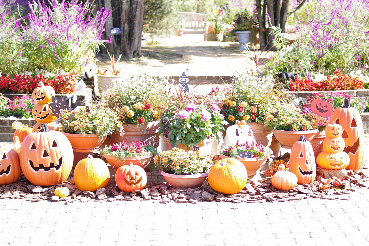 栃木県足利市のあしかがフラワーパークの花々