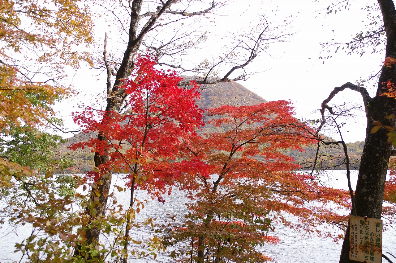 群馬県高崎市の榛名湖の紅葉