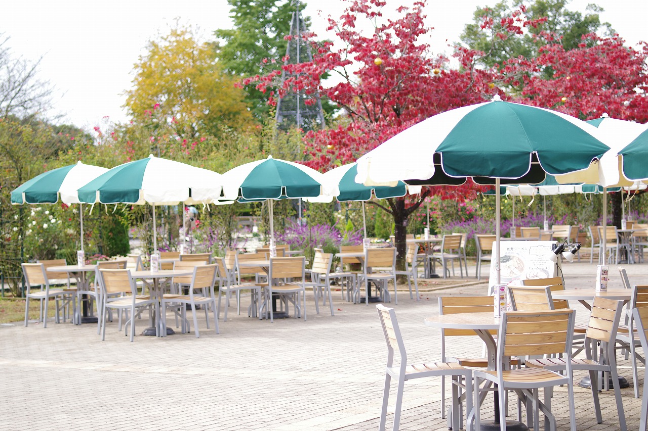 栃木県足利市のあしかがフラワーパークの花々