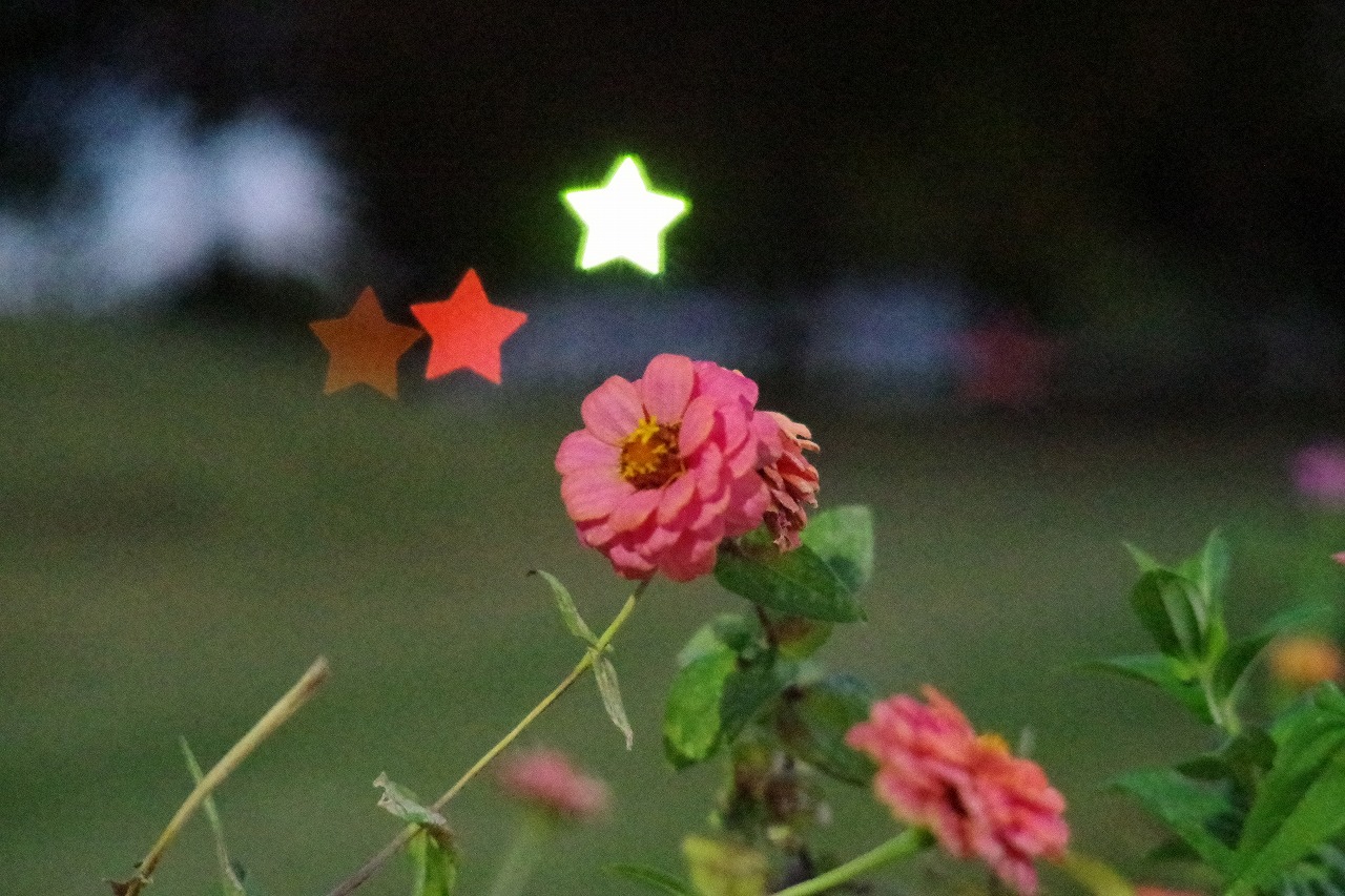 群馬県太田市の太田市運動公園の風鈴と花