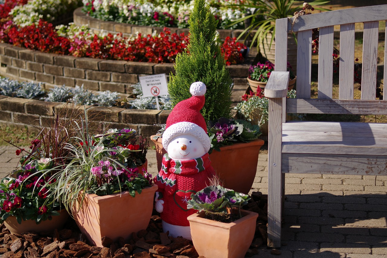 栃木県足利市のあしかがフラワーパークの花々