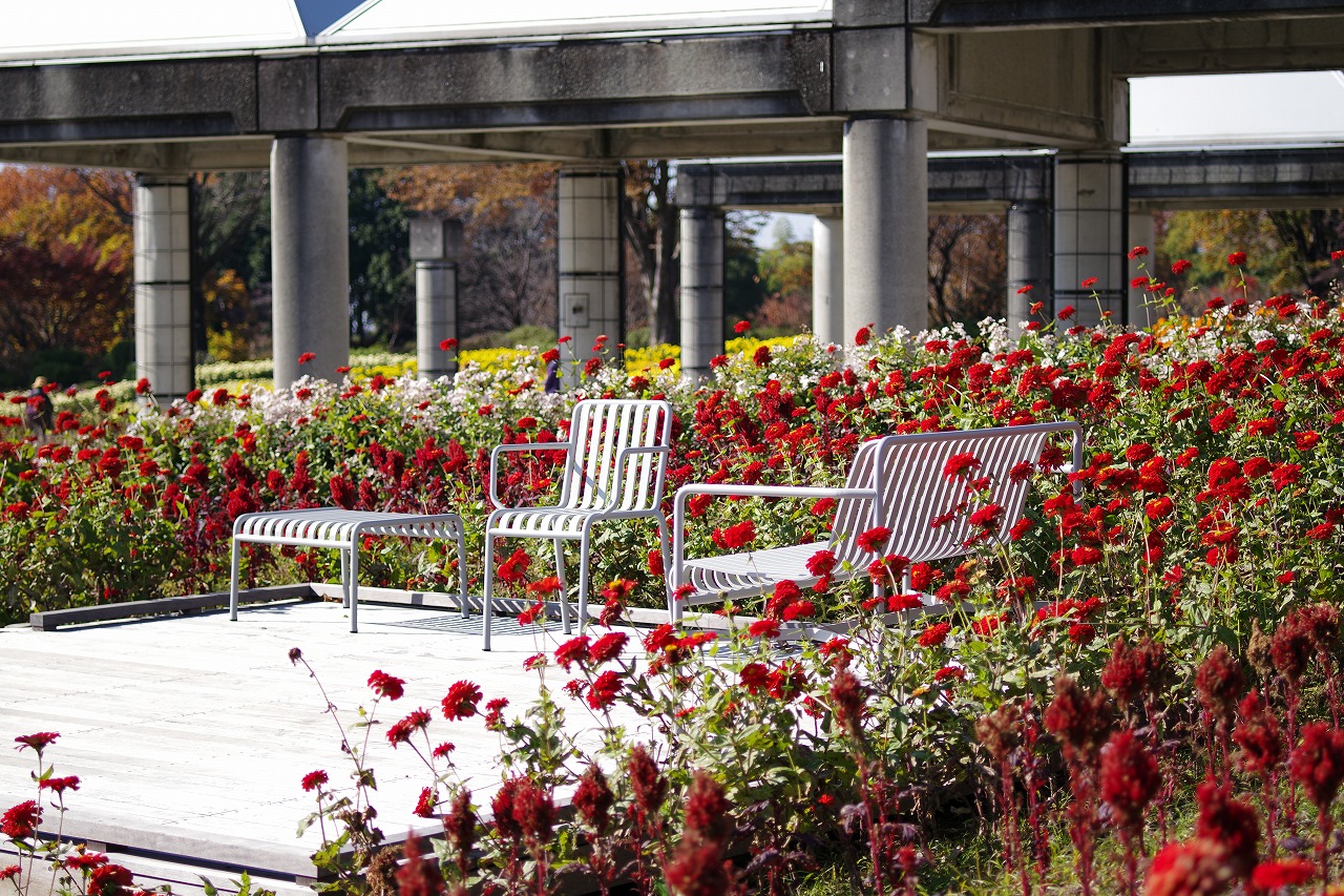群馬県前橋市の群馬フラワーパークの花々