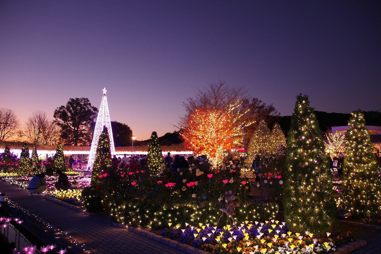 栃木県足利市のあしかがフラワーパークのイルミネーション