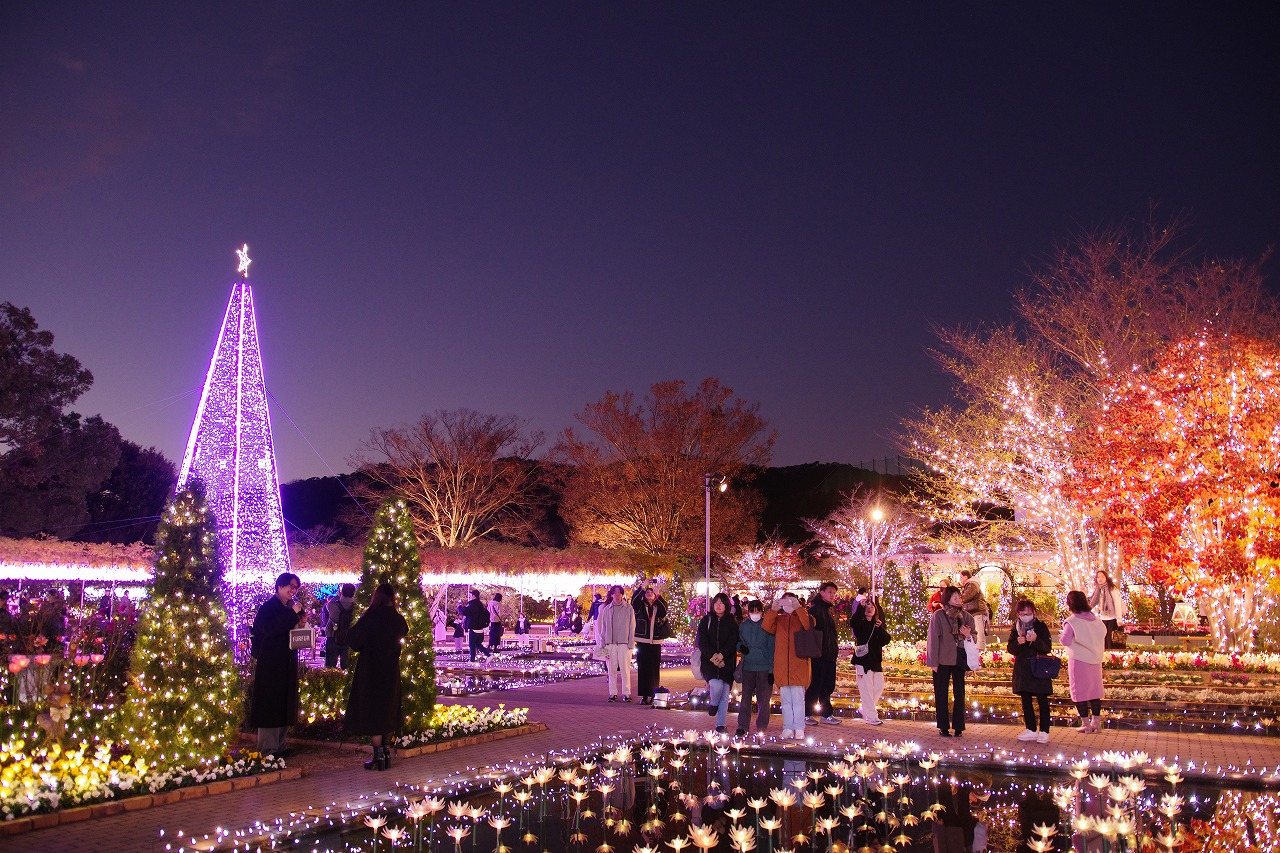 栃木県足利市のあしかがフラワーパークのイルミネーション