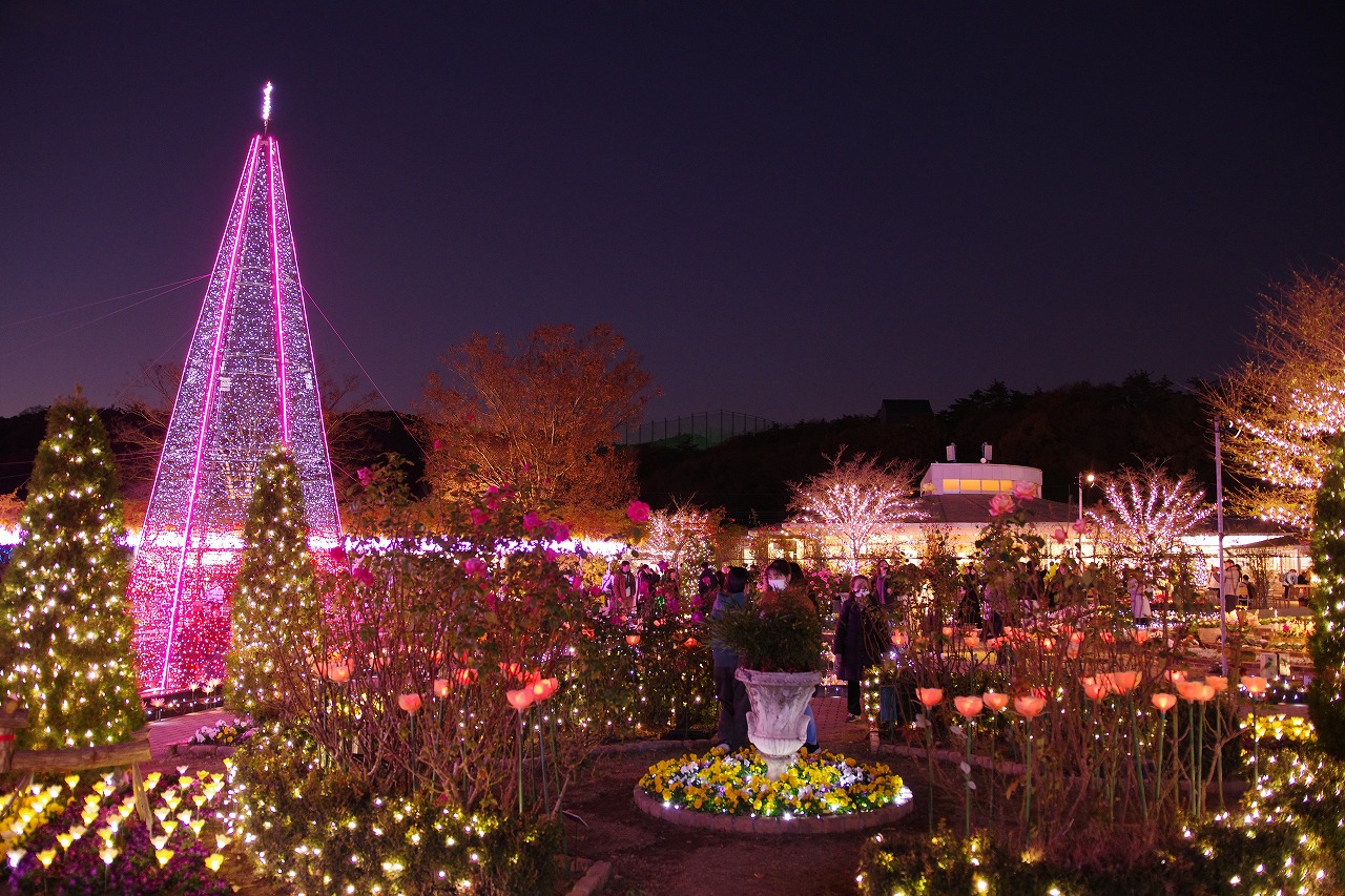 栃木県足利市のあしかがフラワーパークのイルミネーション