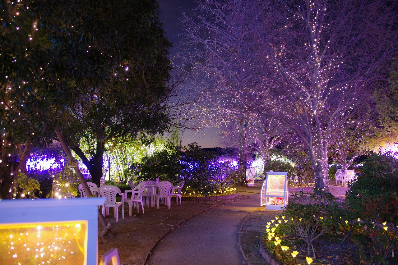 栃木県足利市のあしかがフラワーパークのイルミネーション