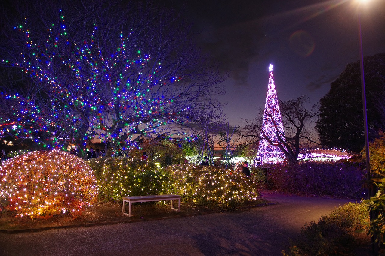 栃木県足利市のあしかがフラワーパークのイルミネーション