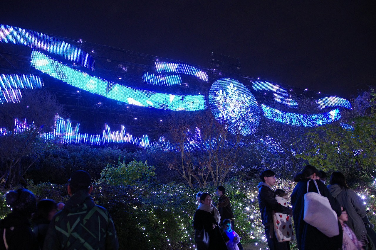 栃木県足利市のあしかがフラワーパークのイルミネーション