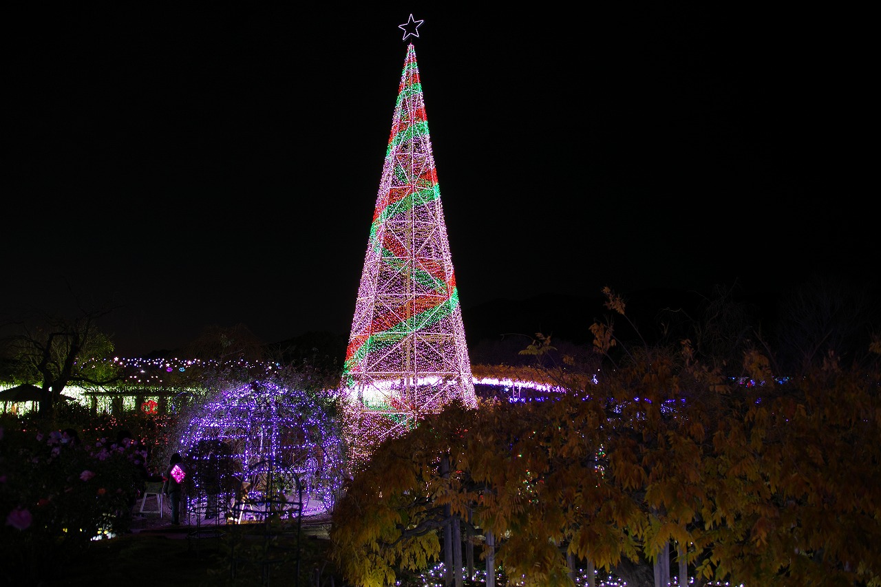 栃木県足利市のあしかがフラワーパークのイルミネーション