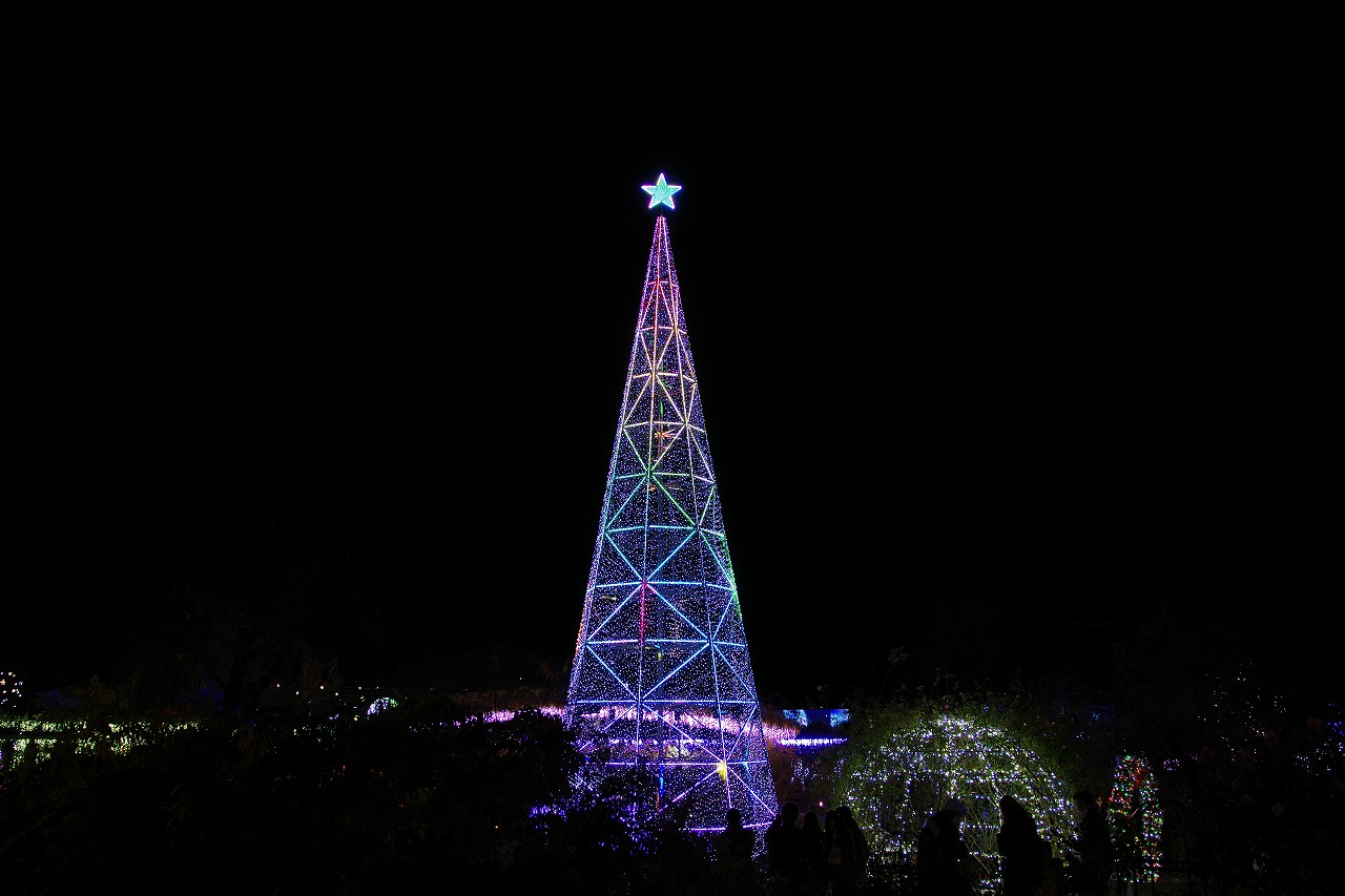 栃木県足利市のあしかがフラワーパークのイルミネーション