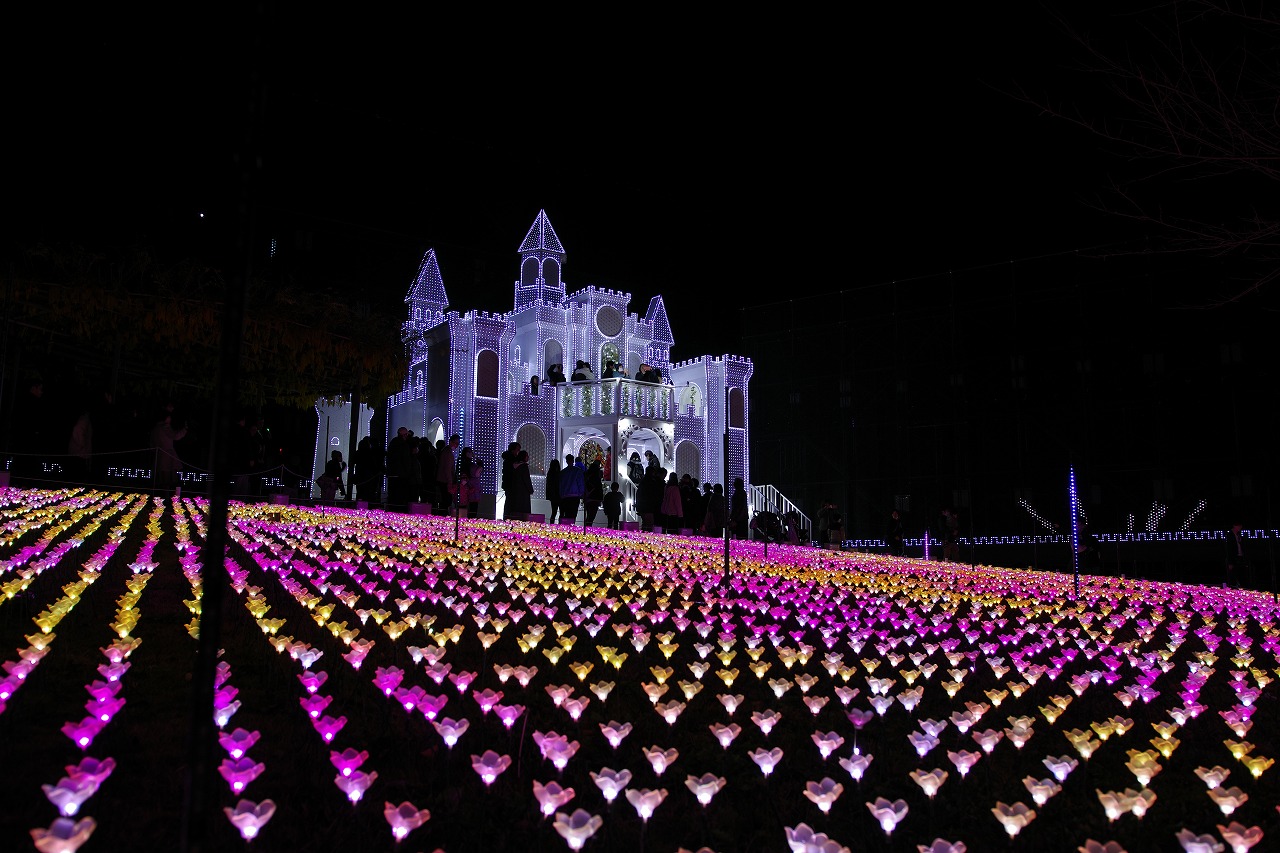 栃木県足利市のあしかがフラワーパークのイルミネーション