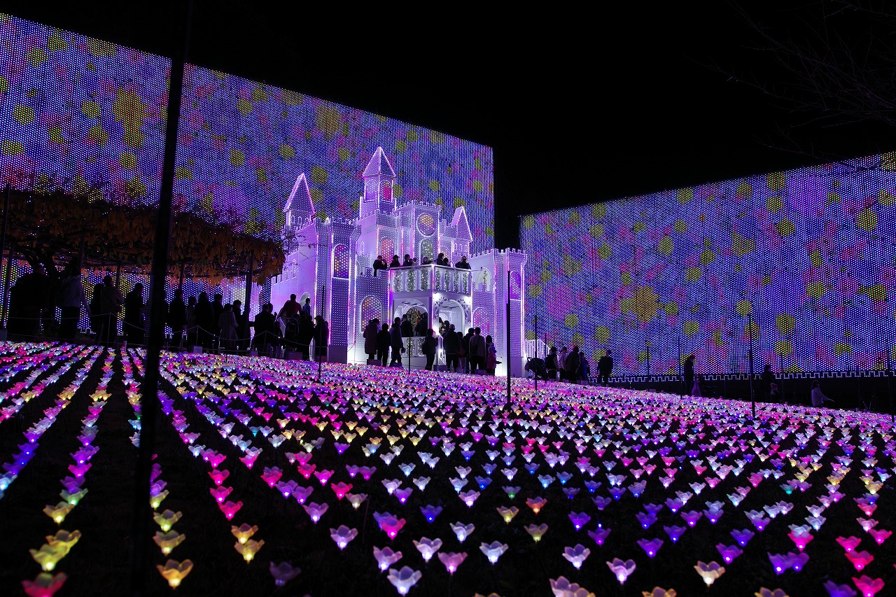 栃木県足利市のあしかがフラワーパークのイルミネーション