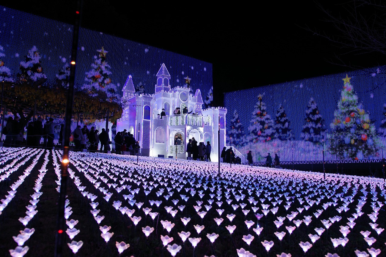 栃木県足利市のあしかがフラワーパークのイルミネーション