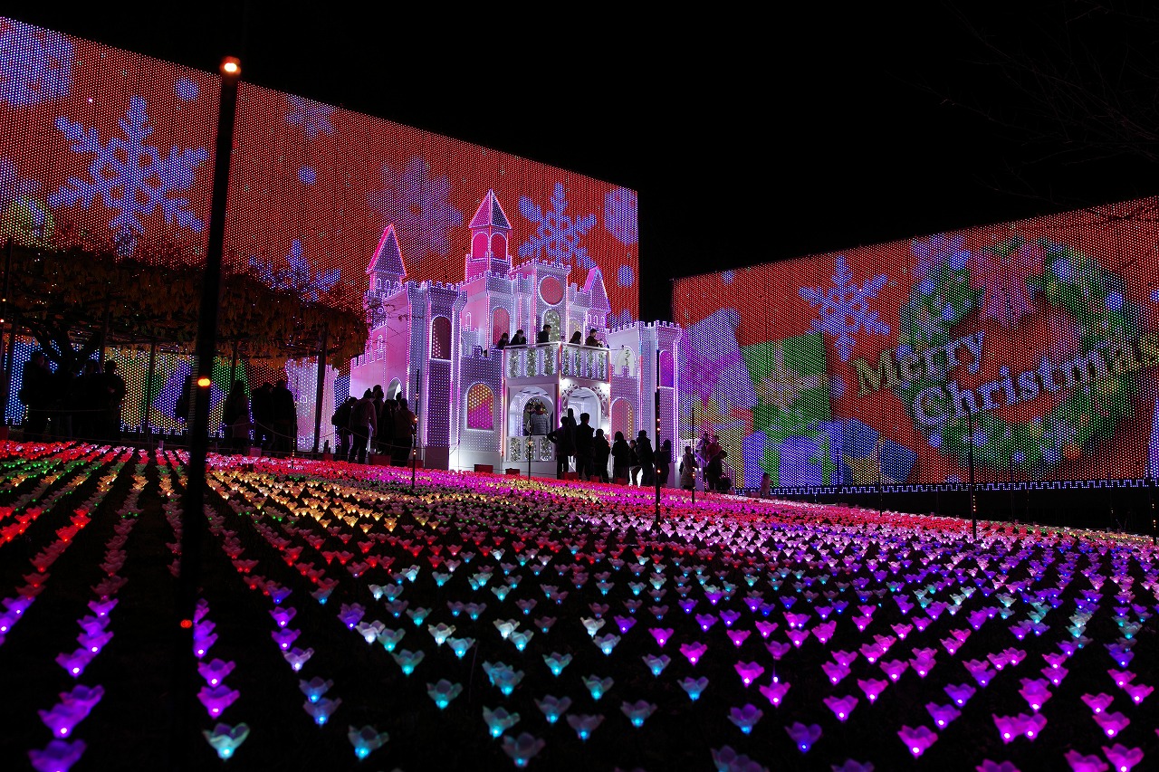 栃木県足利市のあしかがフラワーパークのイルミネーション