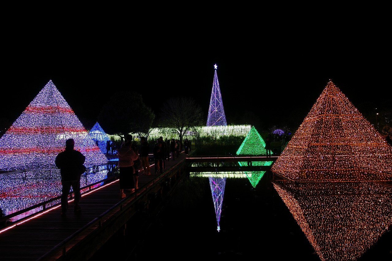 栃木県足利市のあしかがフラワーパークのイルミネーション