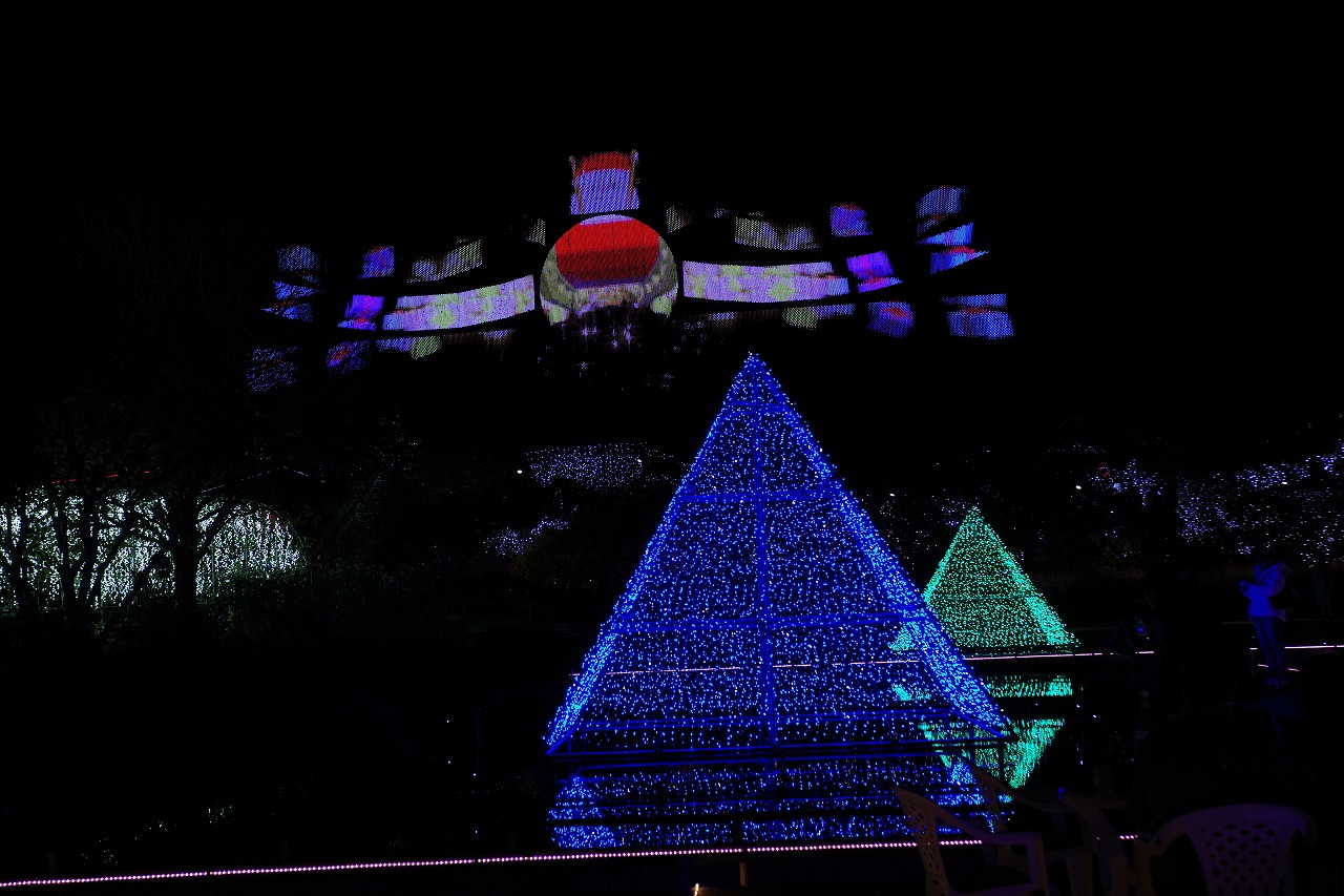 栃木県足利市のあしかがフラワーパークのイルミネーション