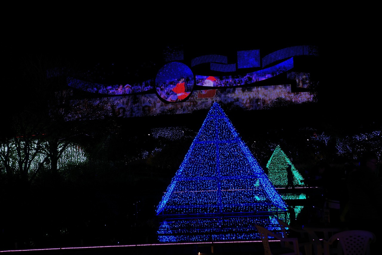 栃木県足利市のあしかがフラワーパークのイルミネーション