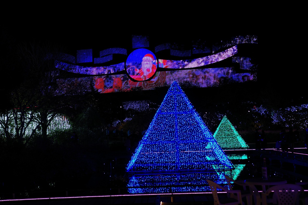 栃木県足利市のあしかがフラワーパークのイルミネーション