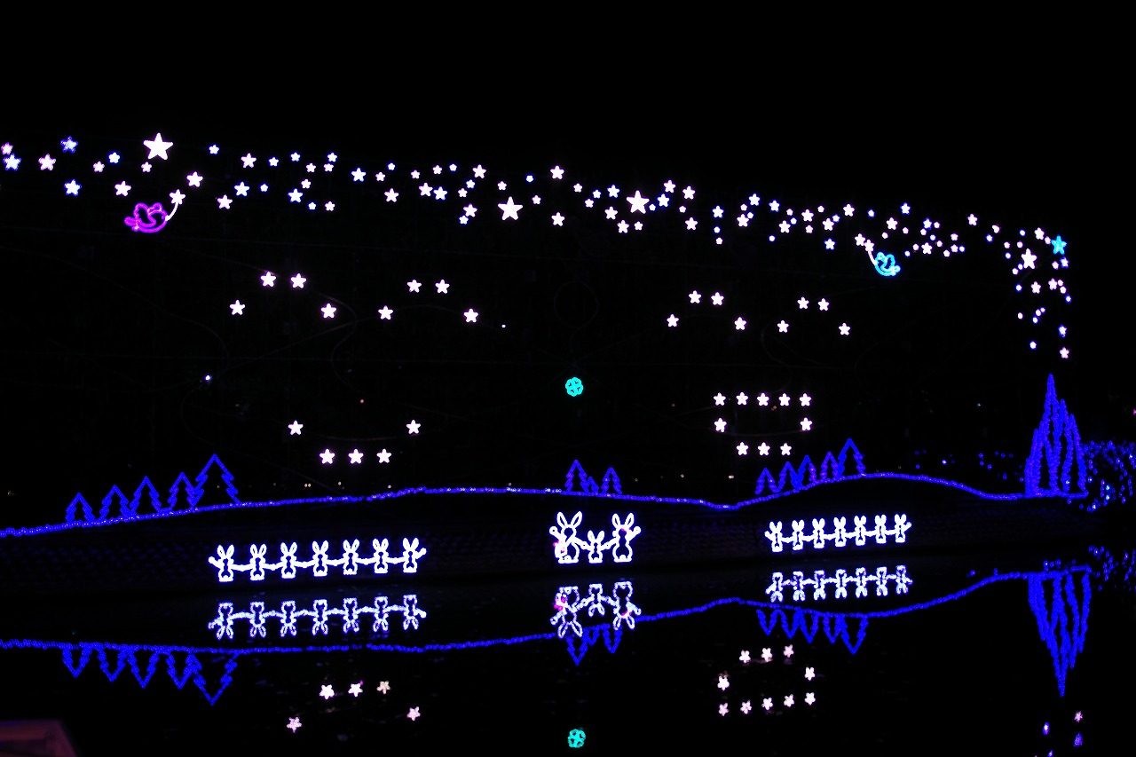 栃木県足利市のあしかがフラワーパークのイルミネーション