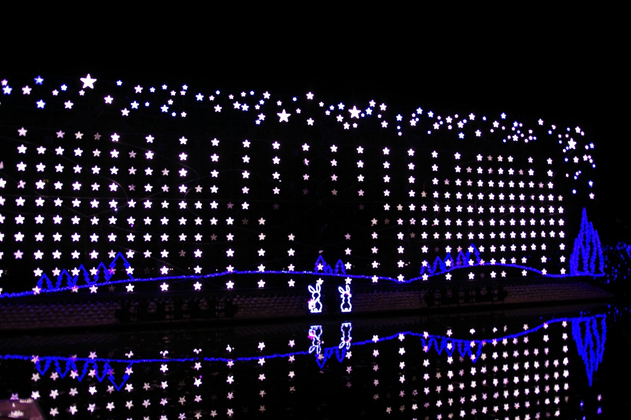 栃木県足利市のあしかがフラワーパークのイルミネーション