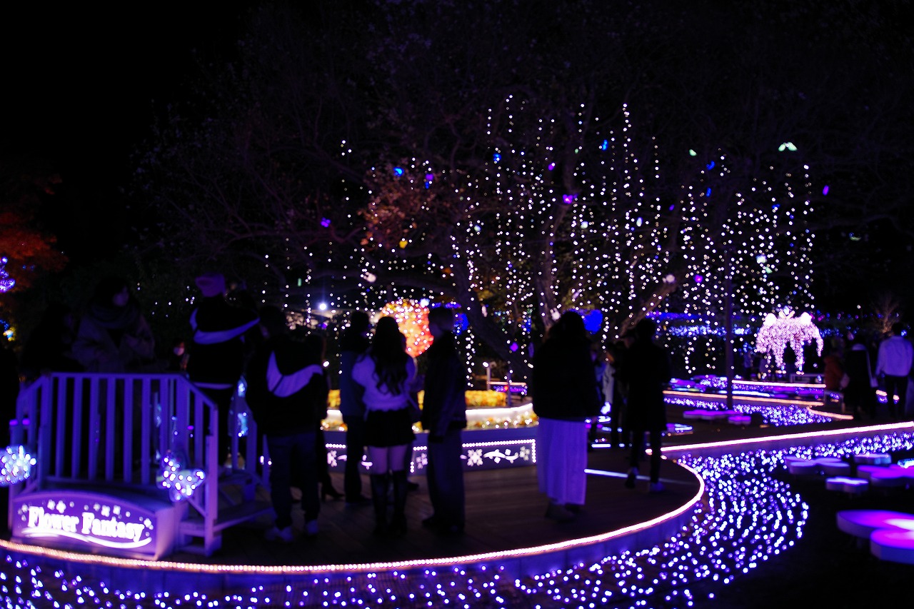 栃木県足利市のあしかがフラワーパークのイルミネーション