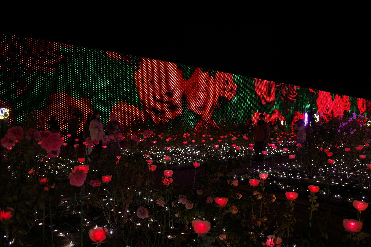 栃木県足利市のあしかがフラワーパークのイルミネーション