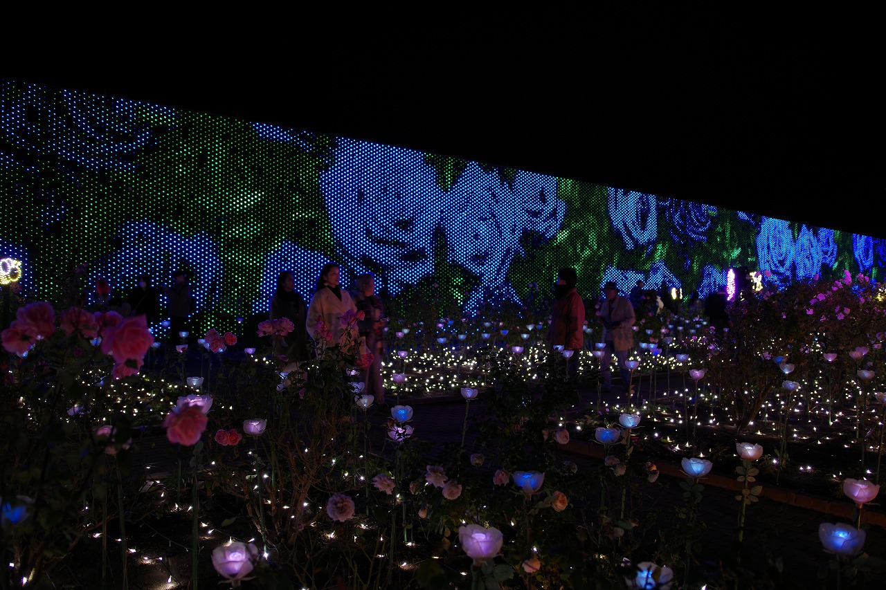 栃木県足利市のあしかがフラワーパークのイルミネーション