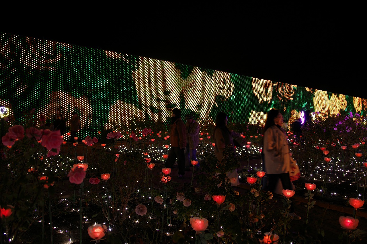 栃木県足利市のあしかがフラワーパークのイルミネーション