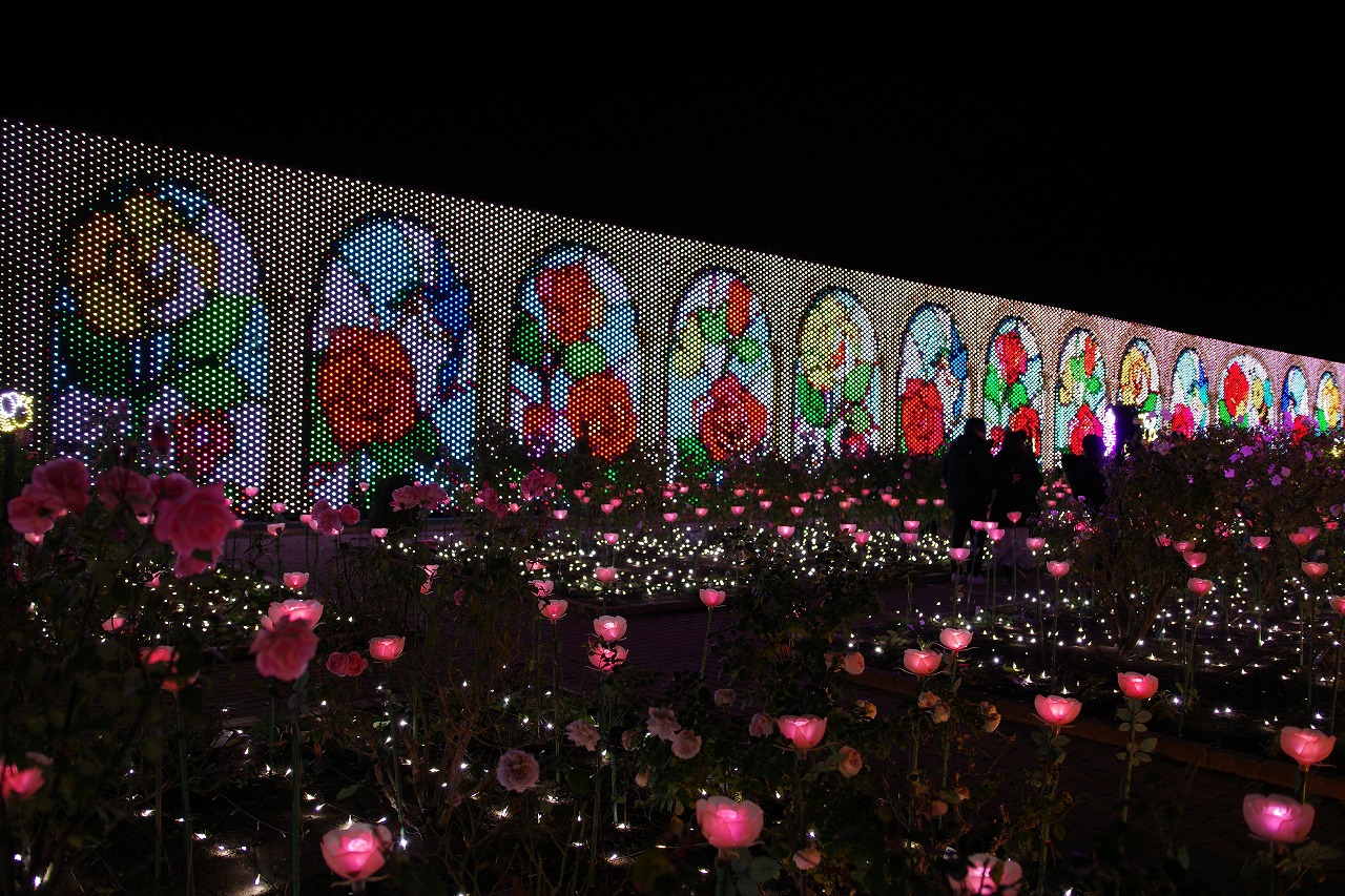 栃木県足利市のあしかがフラワーパークのイルミネーション