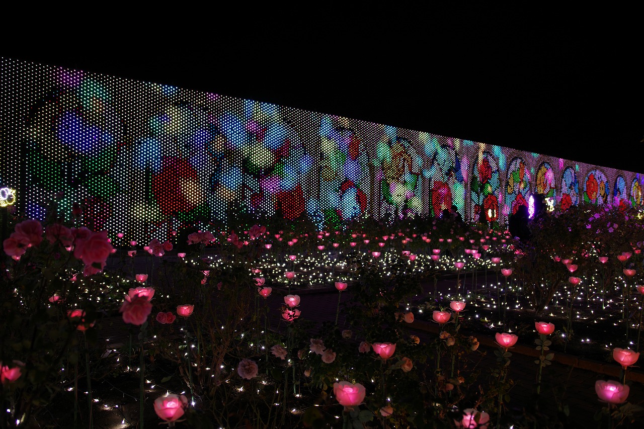 栃木県足利市のあしかがフラワーパークのイルミネーション