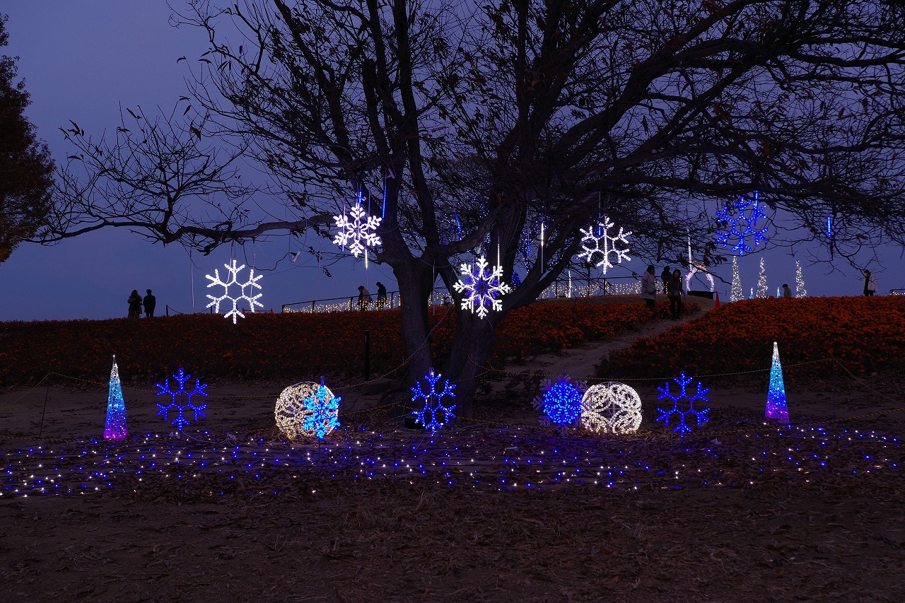 埼玉県本庄市のマリーゴールドの丘公園のイルミネーション