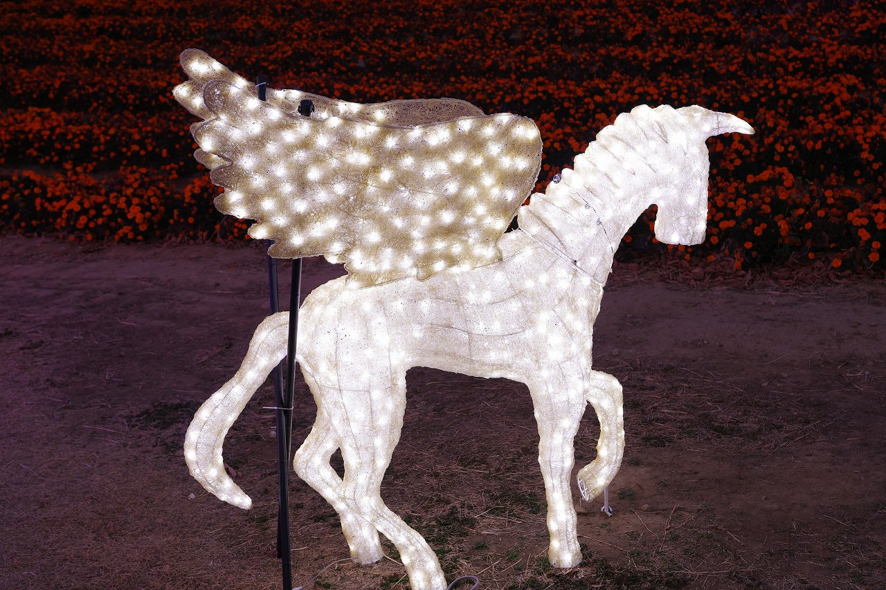 埼玉県本庄市のマリーゴールドの丘公園のイルミネーション