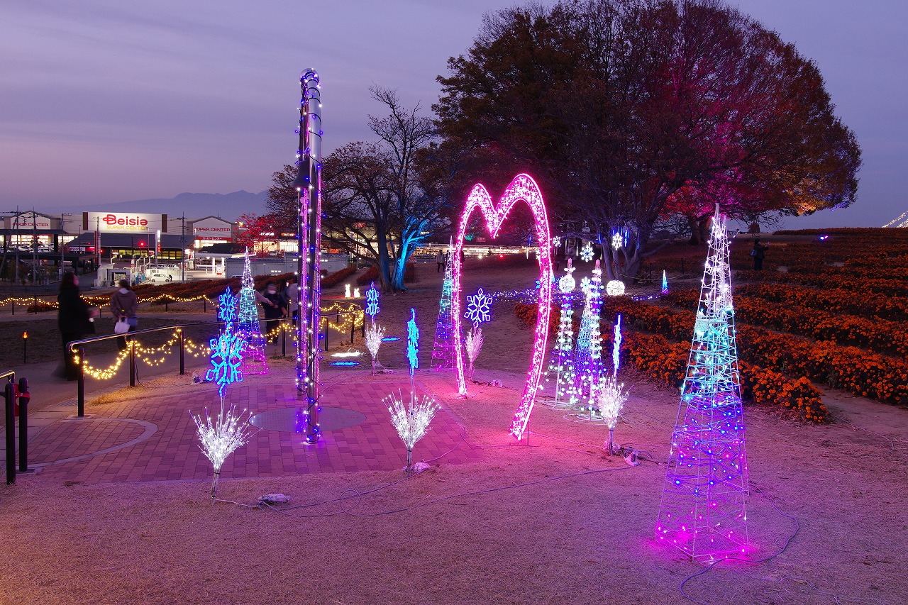 埼玉県本庄市のマリーゴールドの丘公園のイルミネーション