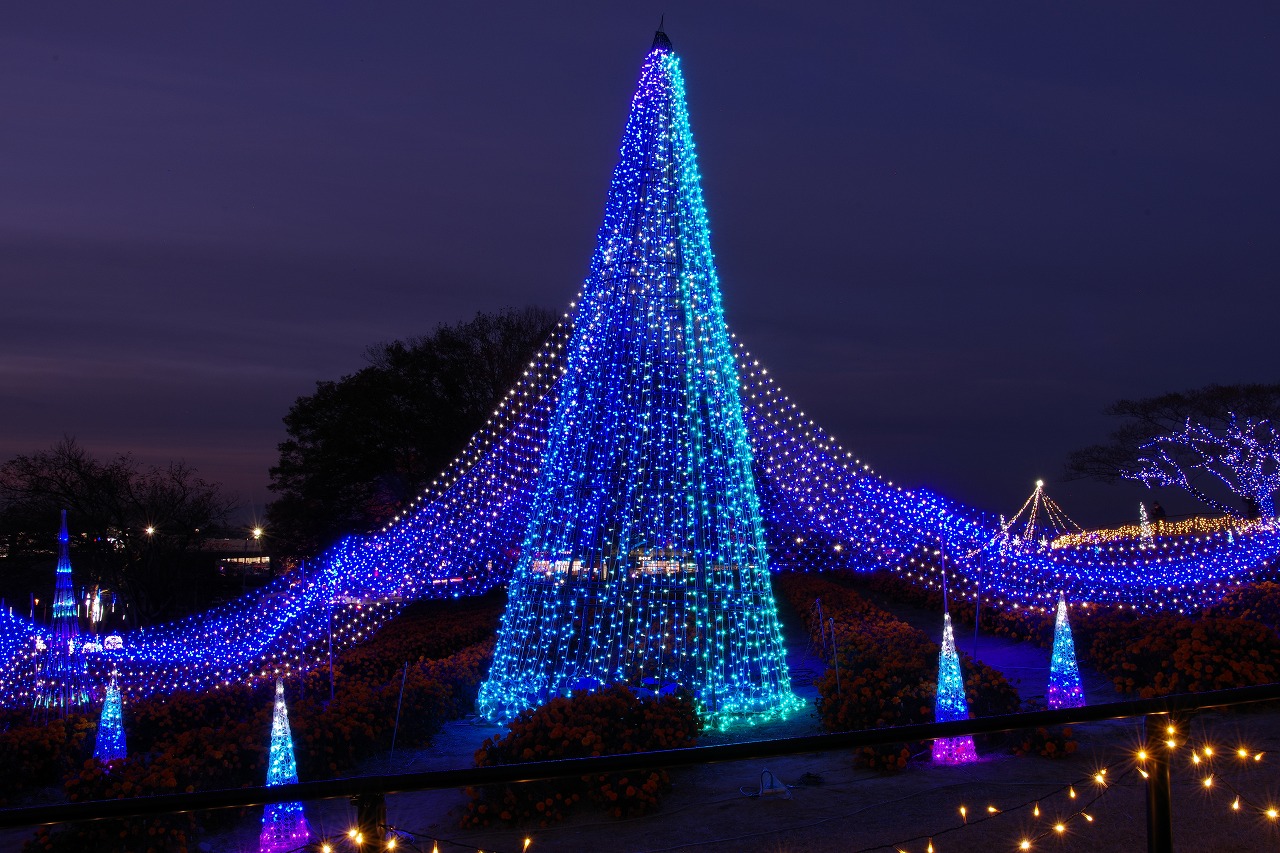 埼玉県本庄市のマリーゴールドの丘公園のイルミネーション