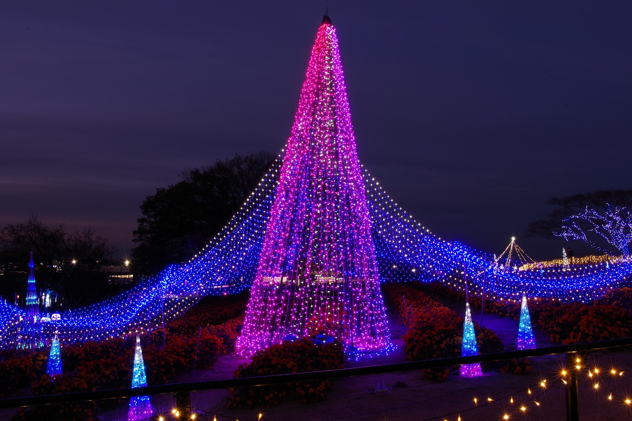 埼玉県本庄市のマリーゴールドの丘公園のイルミネーション