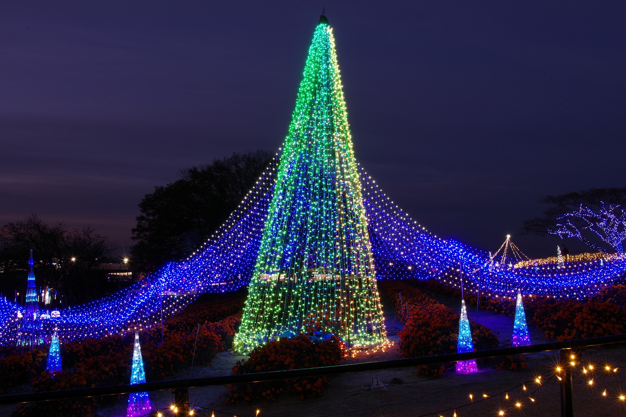 埼玉県本庄市のマリーゴールドの丘公園のイルミネーション
