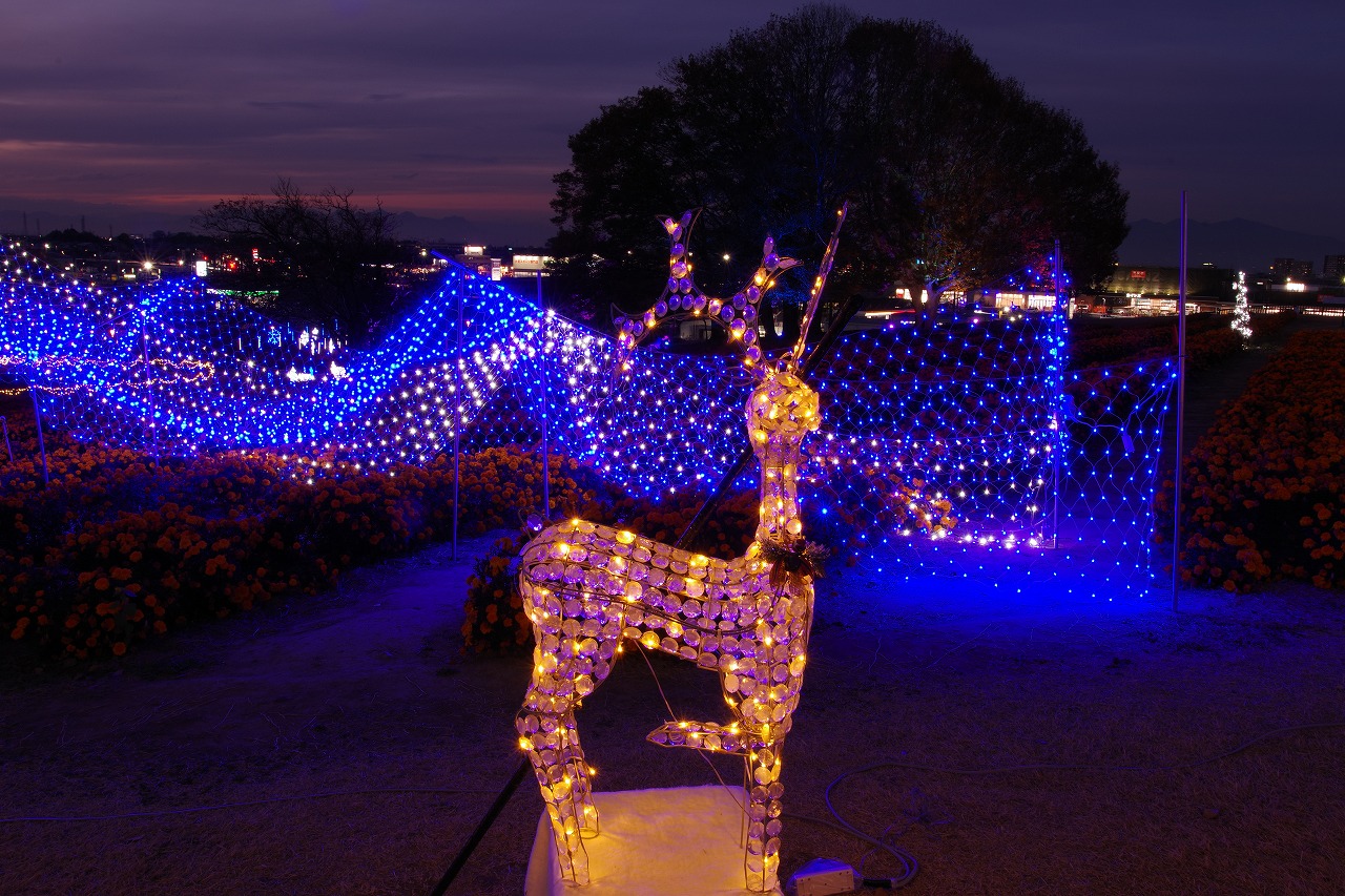 埼玉県本庄市のマリーゴールドの丘公園のイルミネーション