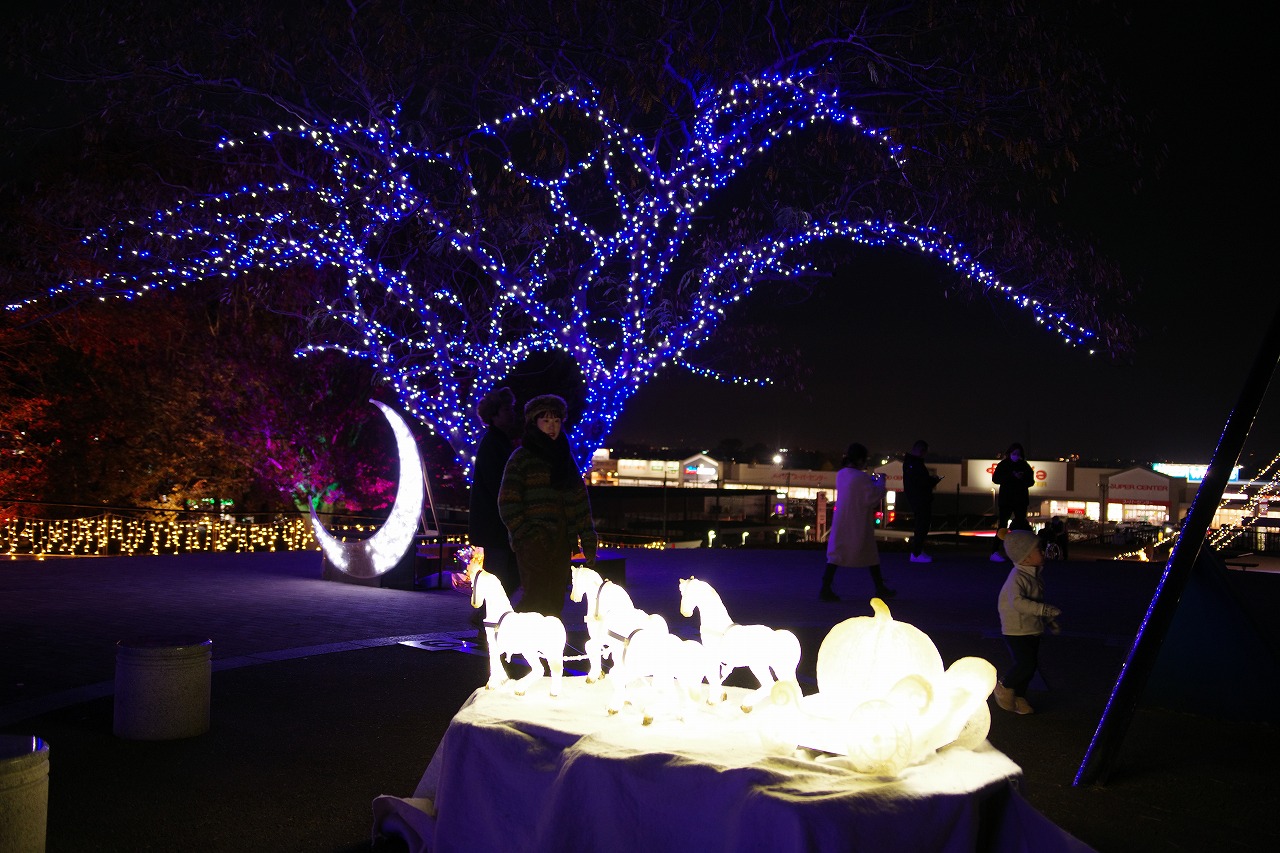 埼玉県本庄市のマリーゴールドの丘公園のイルミネーション