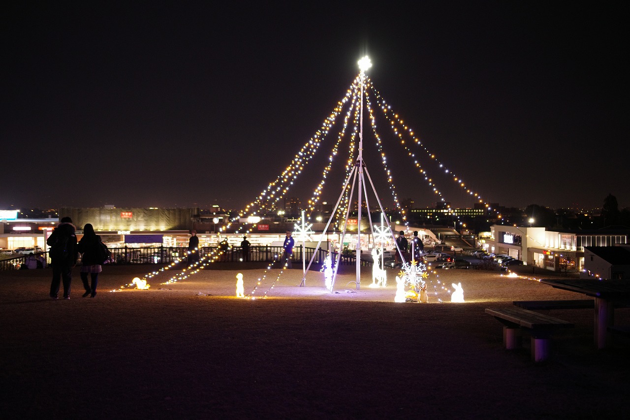 埼玉県本庄市のマリーゴールドの丘公園のイルミネーション