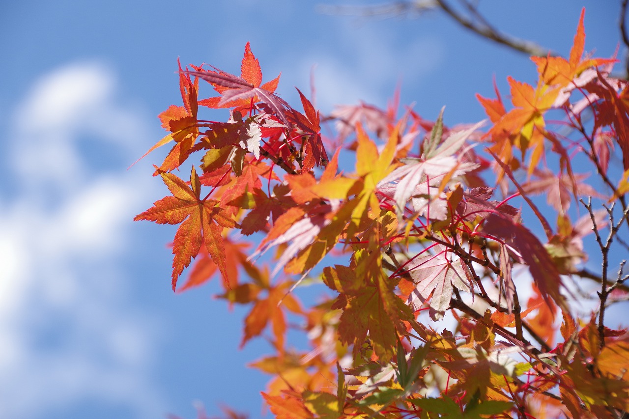 群馬県の榛名湖