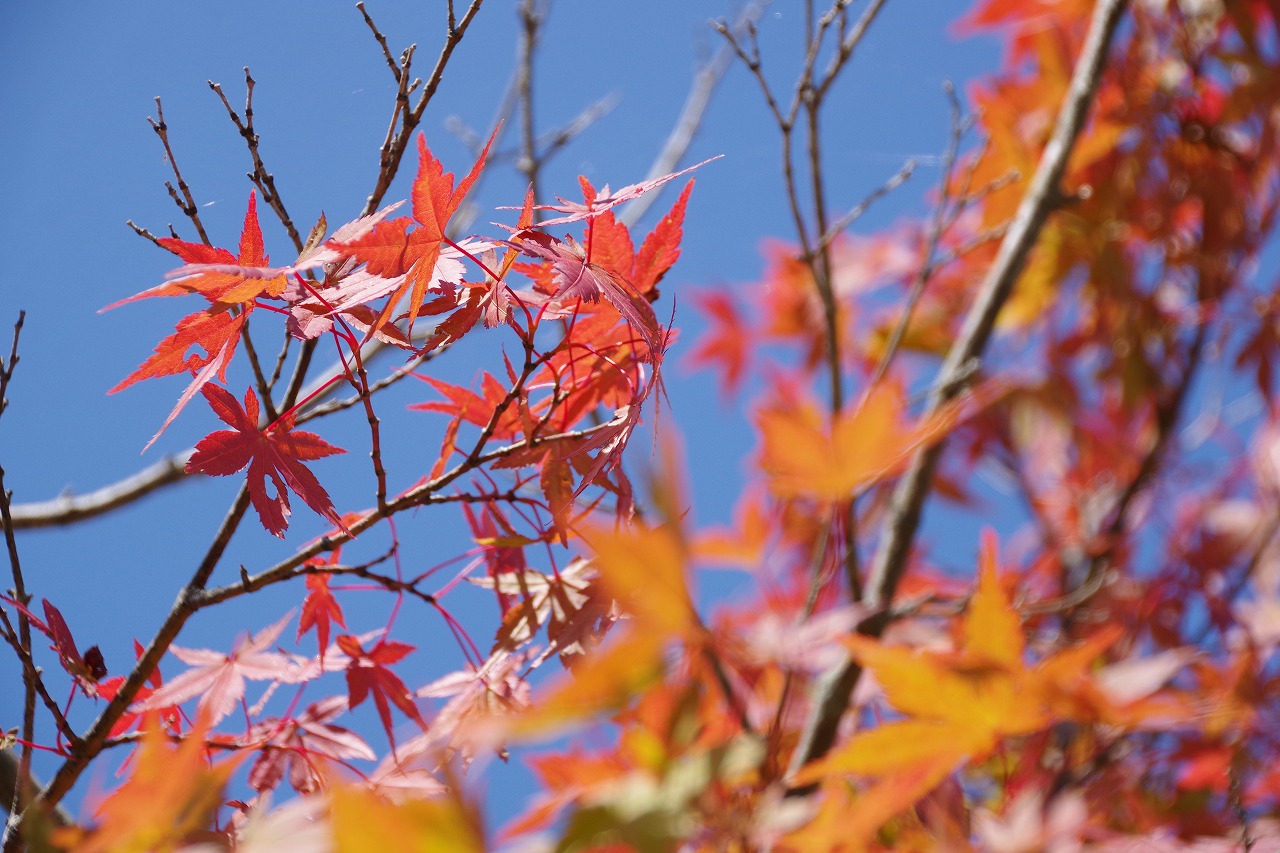 群馬県の榛名湖