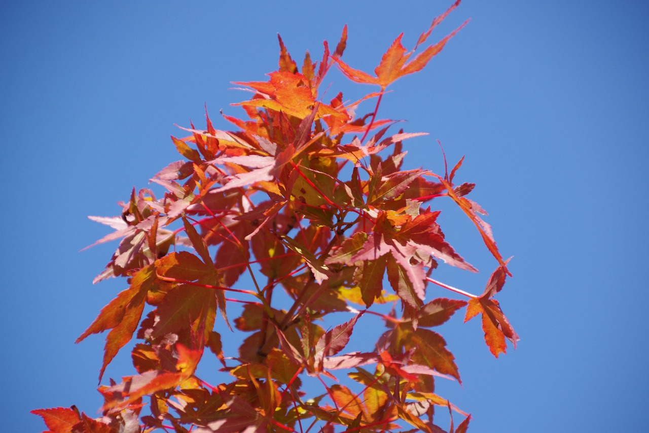 群馬県の榛名湖
