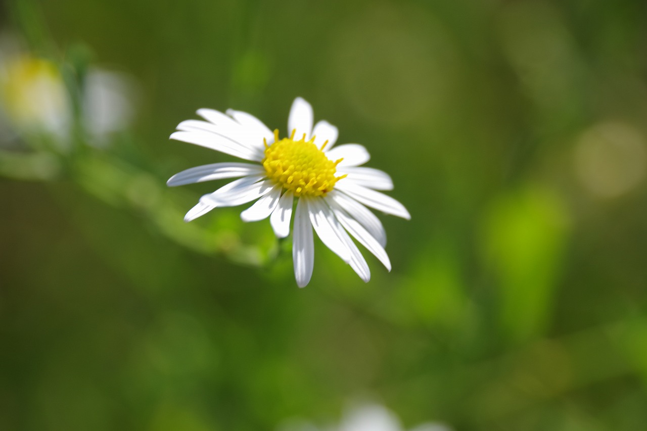 群馬県の榛名湖