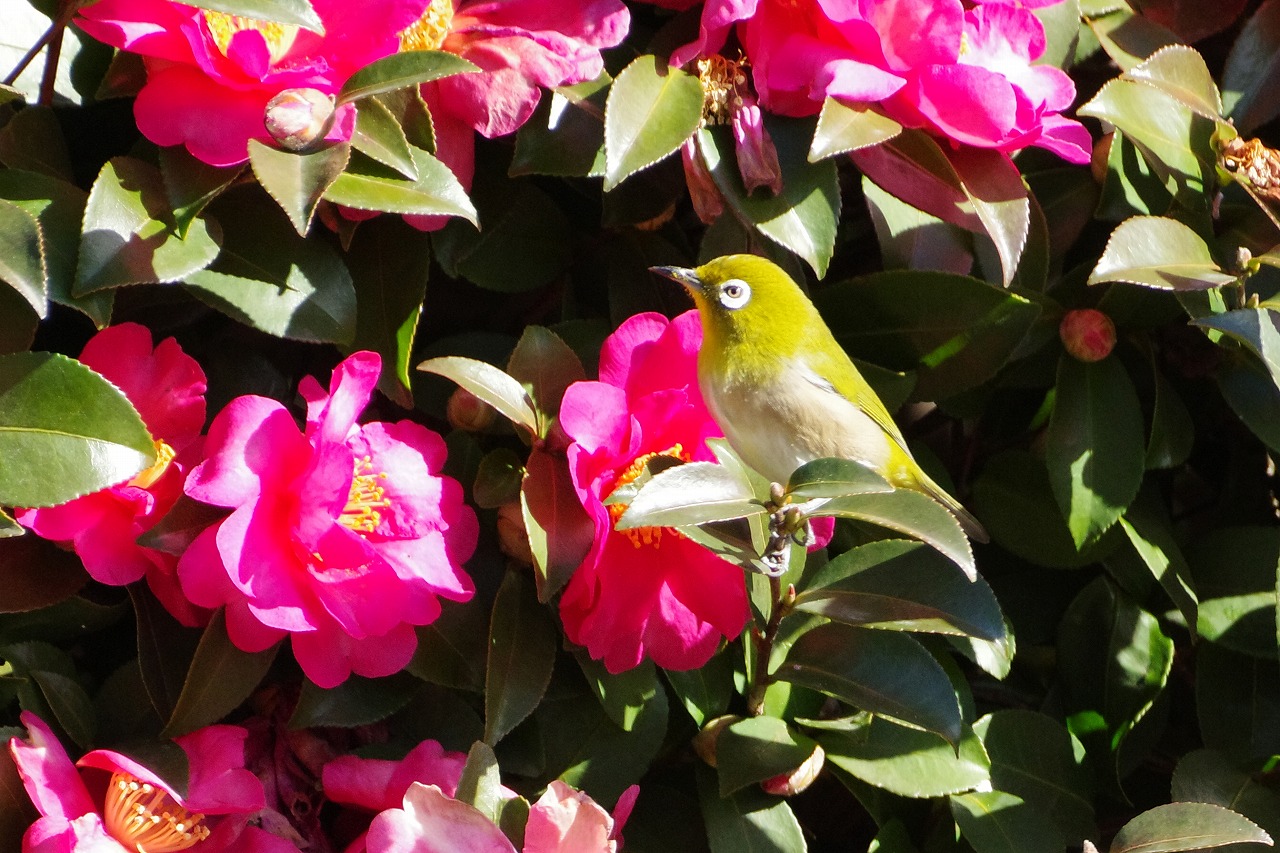 群馬県太田市の太田市運動公園