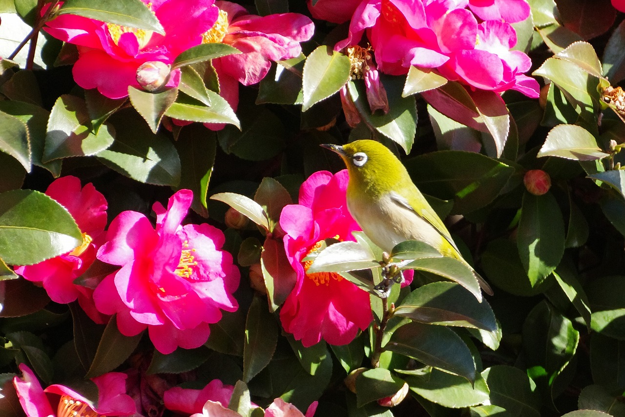 群馬県太田市の太田市運動公園