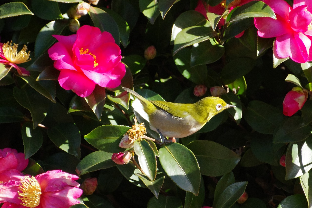 群馬県太田市の太田市運動公園