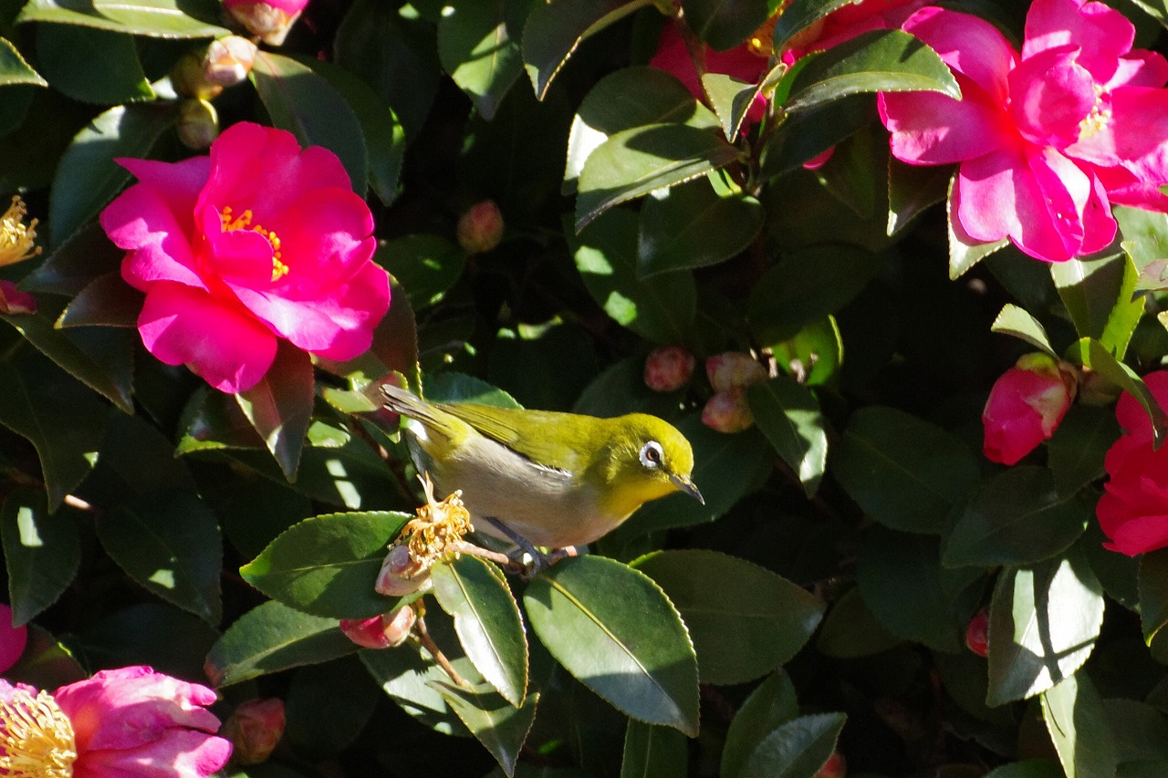 群馬県太田市の太田市運動公園