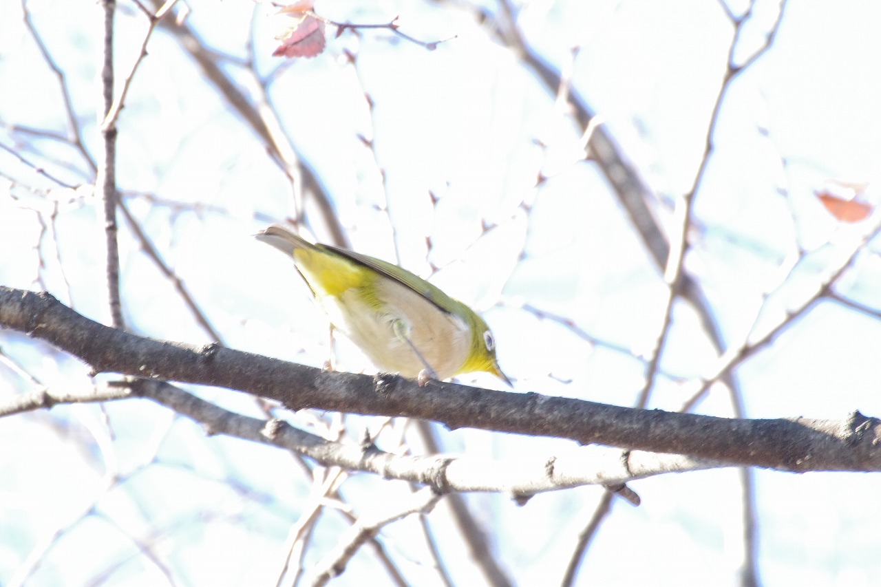 群馬県太田市の太田市運動公園